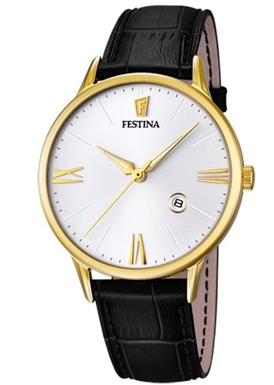 Снимка на Festina F16825/1