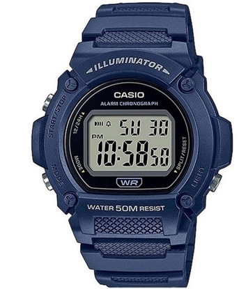 Снимка на CASIO W-219H-2AVEF