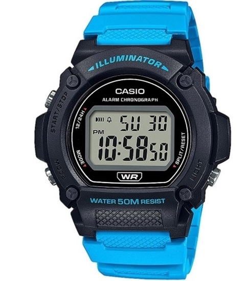 Снимка на CASIO W-219H-1A2VEF