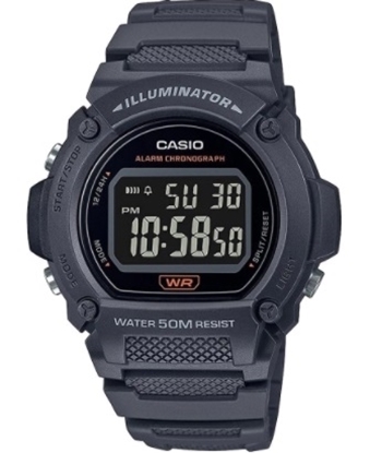 Снимка на CASIO W-219H-8BVEF