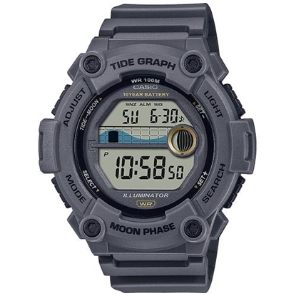 Снимка на CASIO WS-1300H-8AVEF