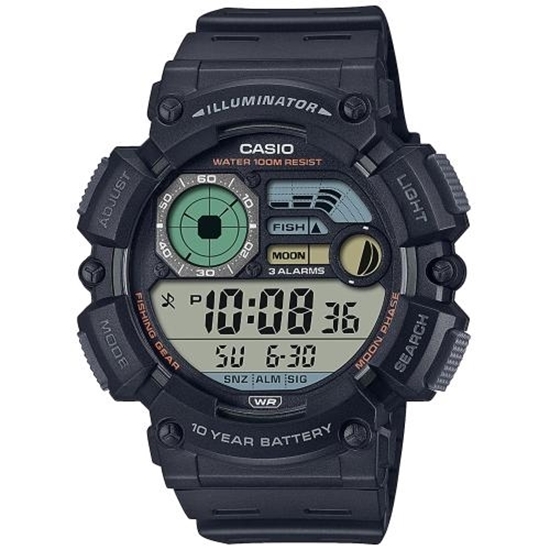 Снимка на CASIO WS-1500H-1AVEF