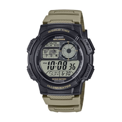 Снимка на CASIO AE-1000W-5AVEF