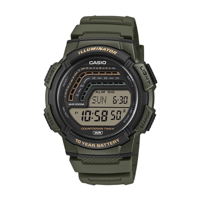 Снимка на CASIO WS-1800-3AVEF